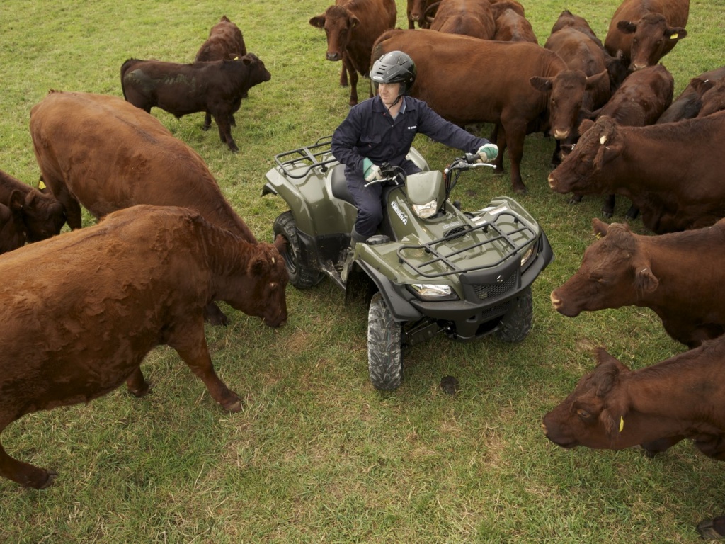 Фото квадроцикла Suzuki LT-A750XP KingQuad